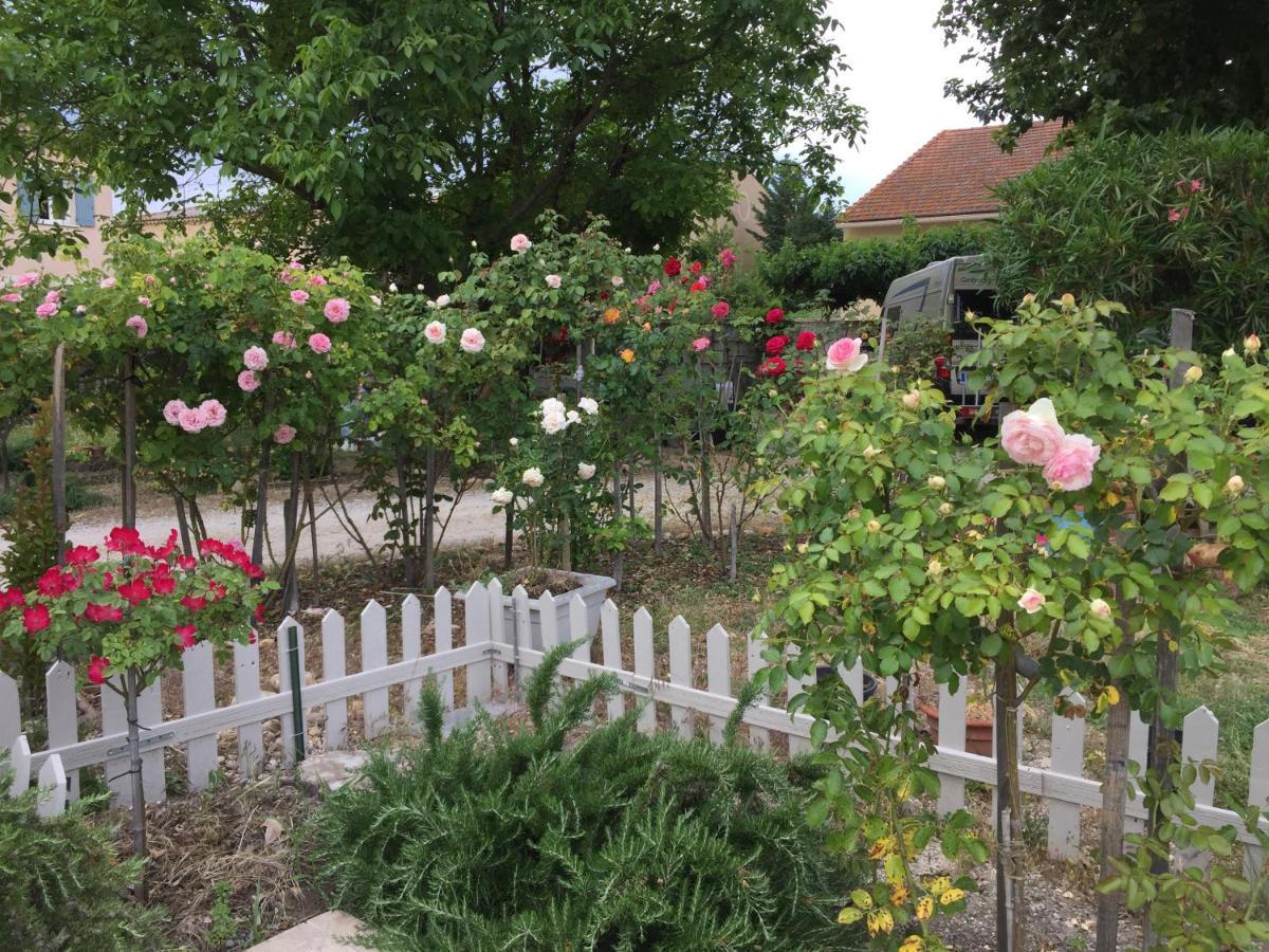 La Ferme De Tonton Jules Et Mame Julia Panzió Entraigues-sur-la-Sorgue Kültér fotó